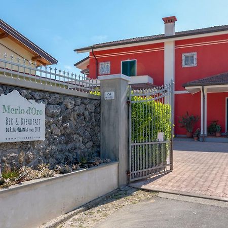 Merlo d'Oro Carrara Exterior foto