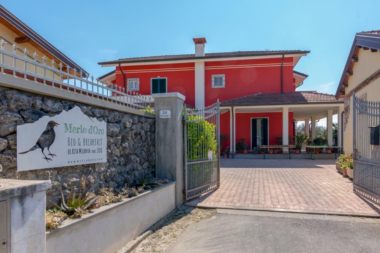 Merlo d'Oro Carrara Exterior foto
