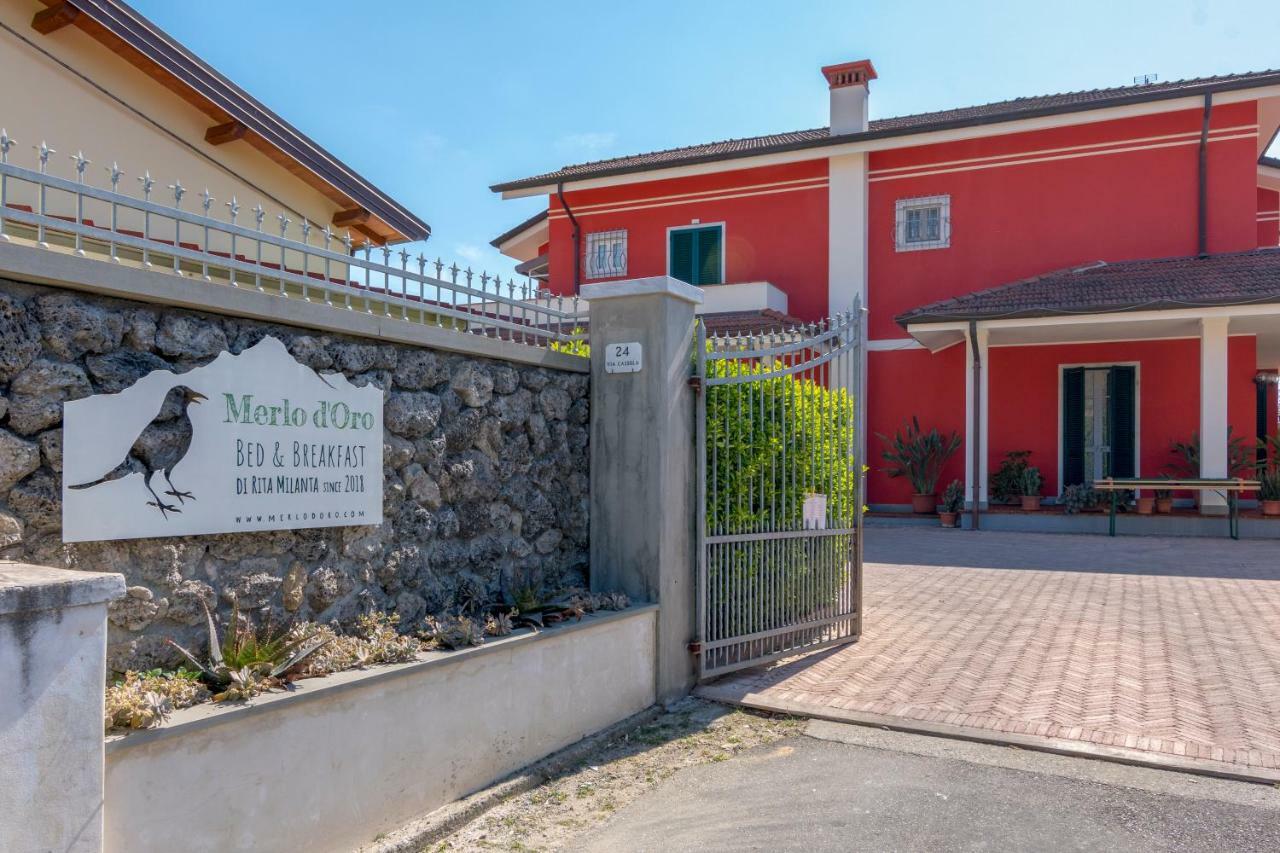 Merlo d'Oro Carrara Exterior foto