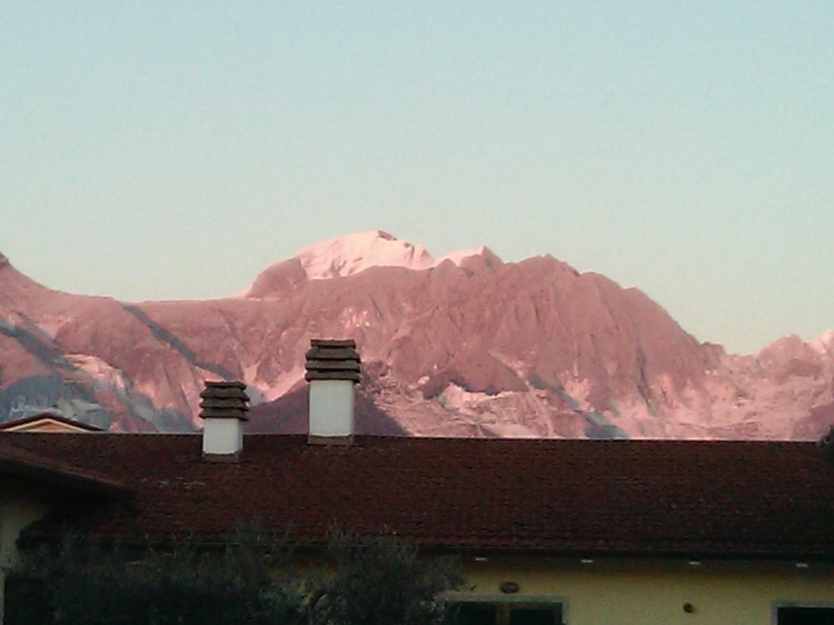 Merlo d'Oro Carrara Exterior foto