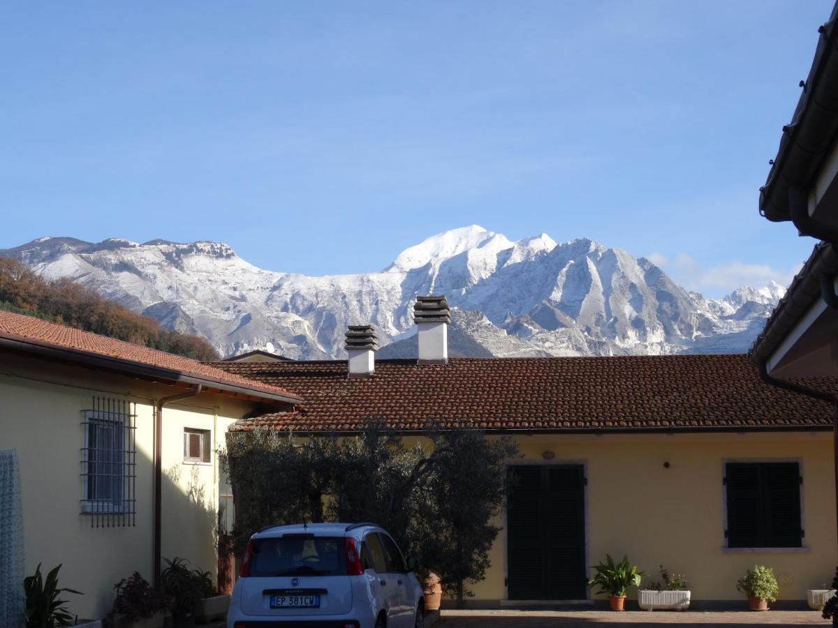 Merlo d'Oro Carrara Exterior foto